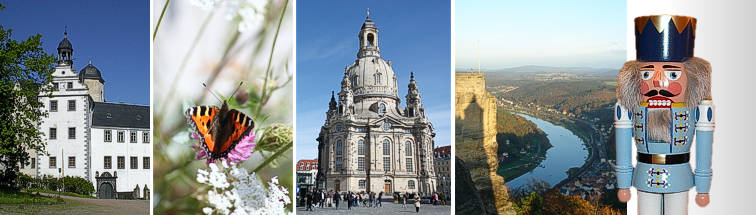 Umgebung Oberbärenburg