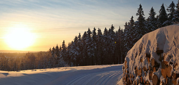 Winter Oberbärenburg